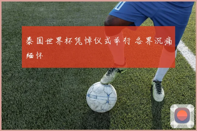 泰国世界杯凭悼仪式举行 各界沉痛缅怀