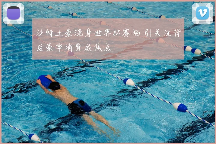 沙特土豪现身世界杯赛场 引关注背后豪华消费成焦点