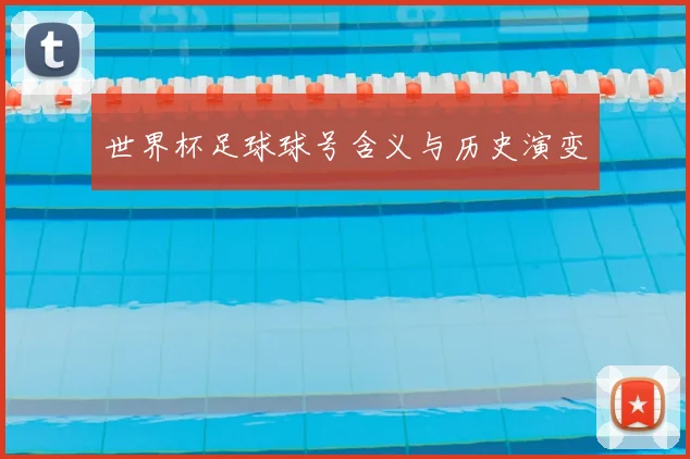 世界杯足球球号含义与历史演变