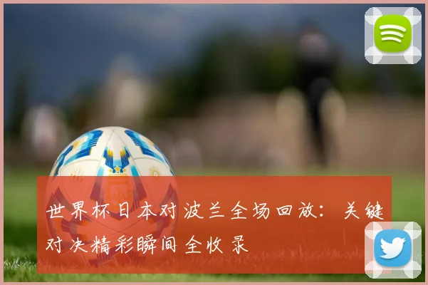 世界杯日本对波兰全场回放:关键对决精彩瞬间全收录