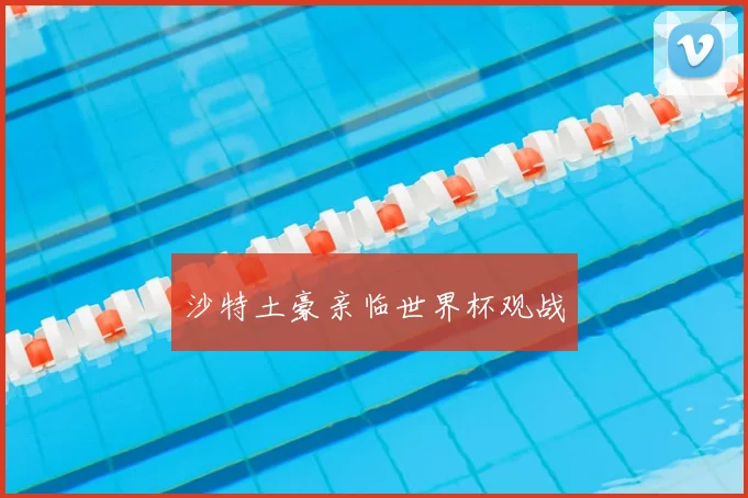 沙特土豪亲临世界杯观战