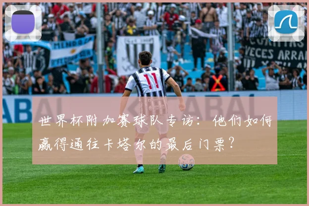 世界杯附加赛球队专访:他们如何赢得通往卡塔尔的最后门票?