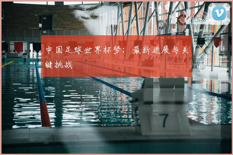 中国足球世界杯梦：最新进展与关键挑战