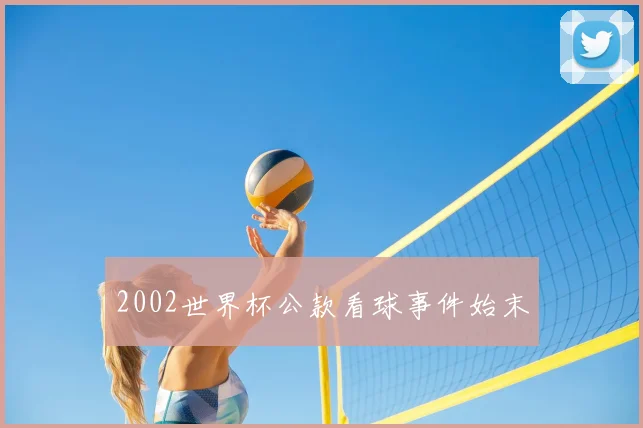 2002世界杯公款看球事件始末