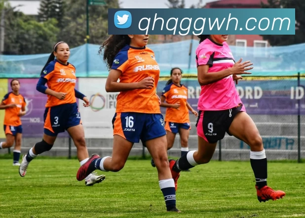 九游体育服务体系